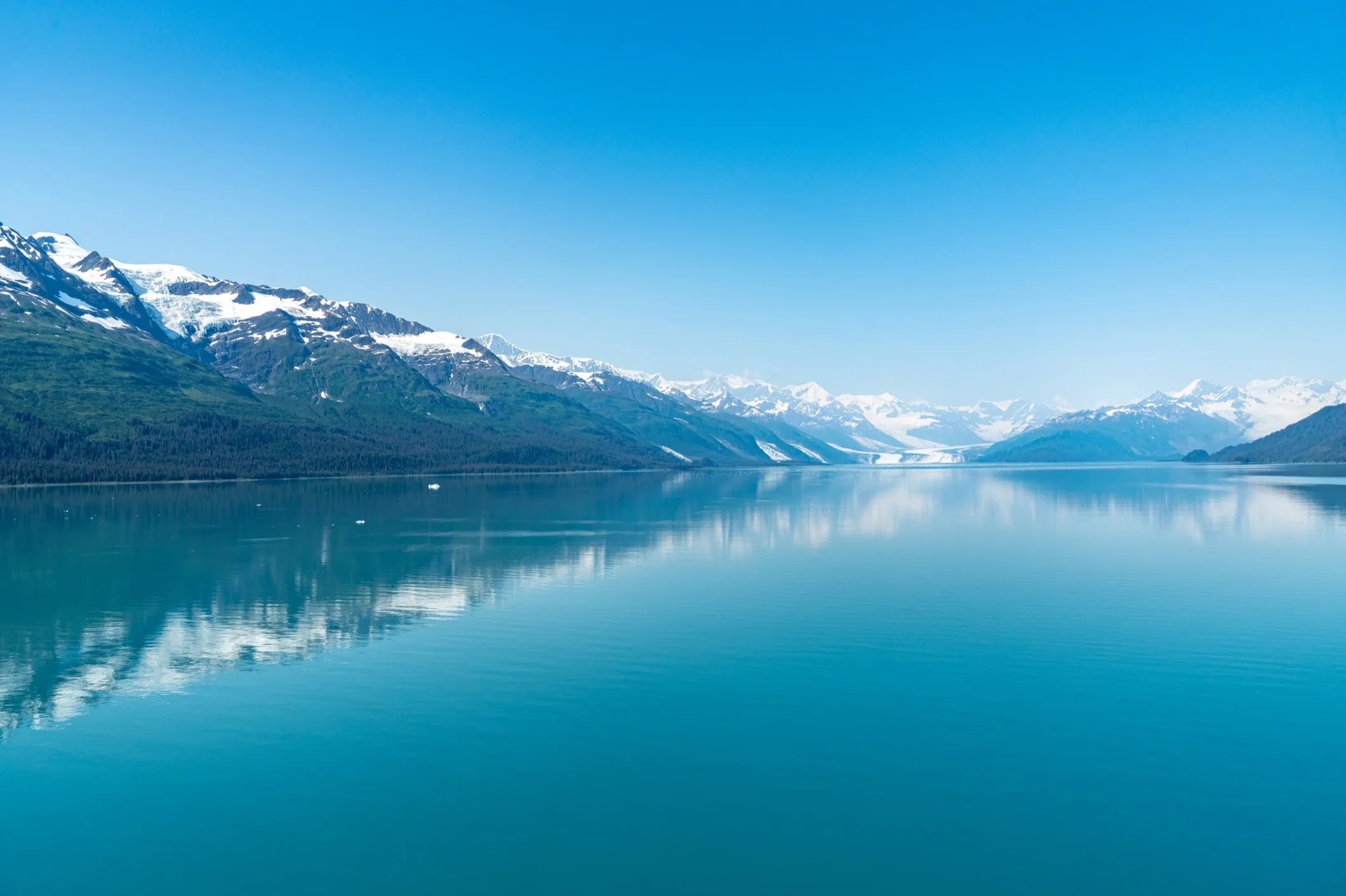 Alaska cruise glacier fjord scenic wilderness
